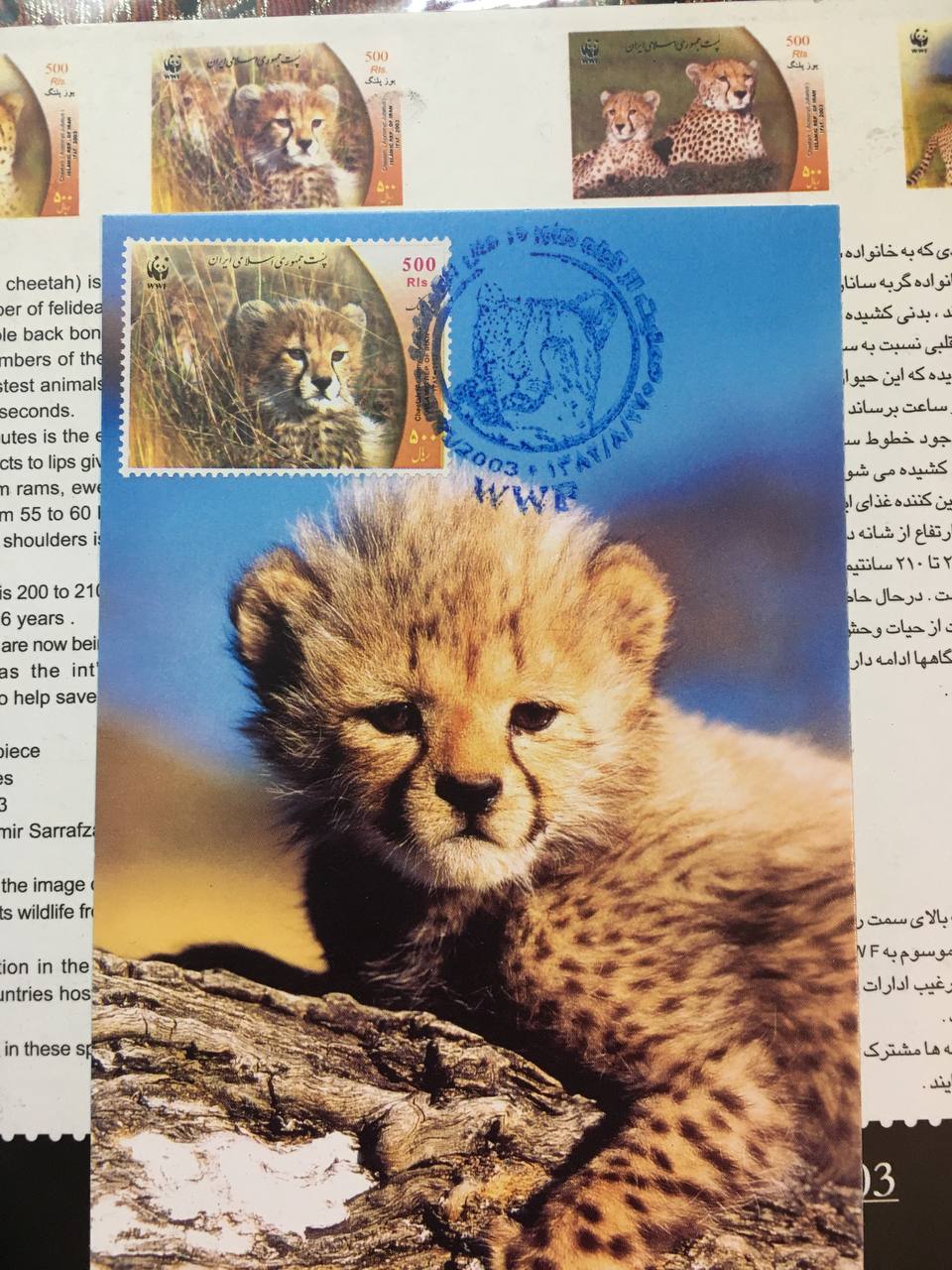 پاکت مهر روز و کارت مهر روز یوز پلنگ ایرانی همراه با ۴ قطعه تمیر